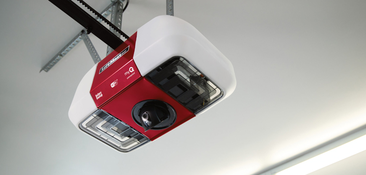liftmaster garage door motor repair in Oak View